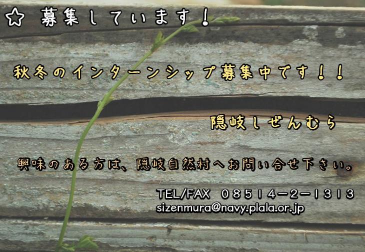 顡ߥ󥿡󥷥å罸Ǥ